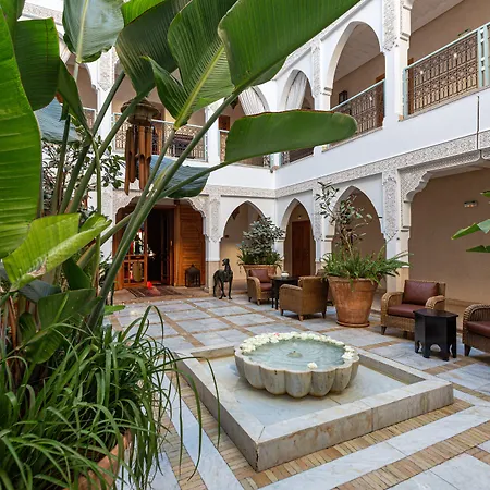 Le Riad Villa Blanche-3